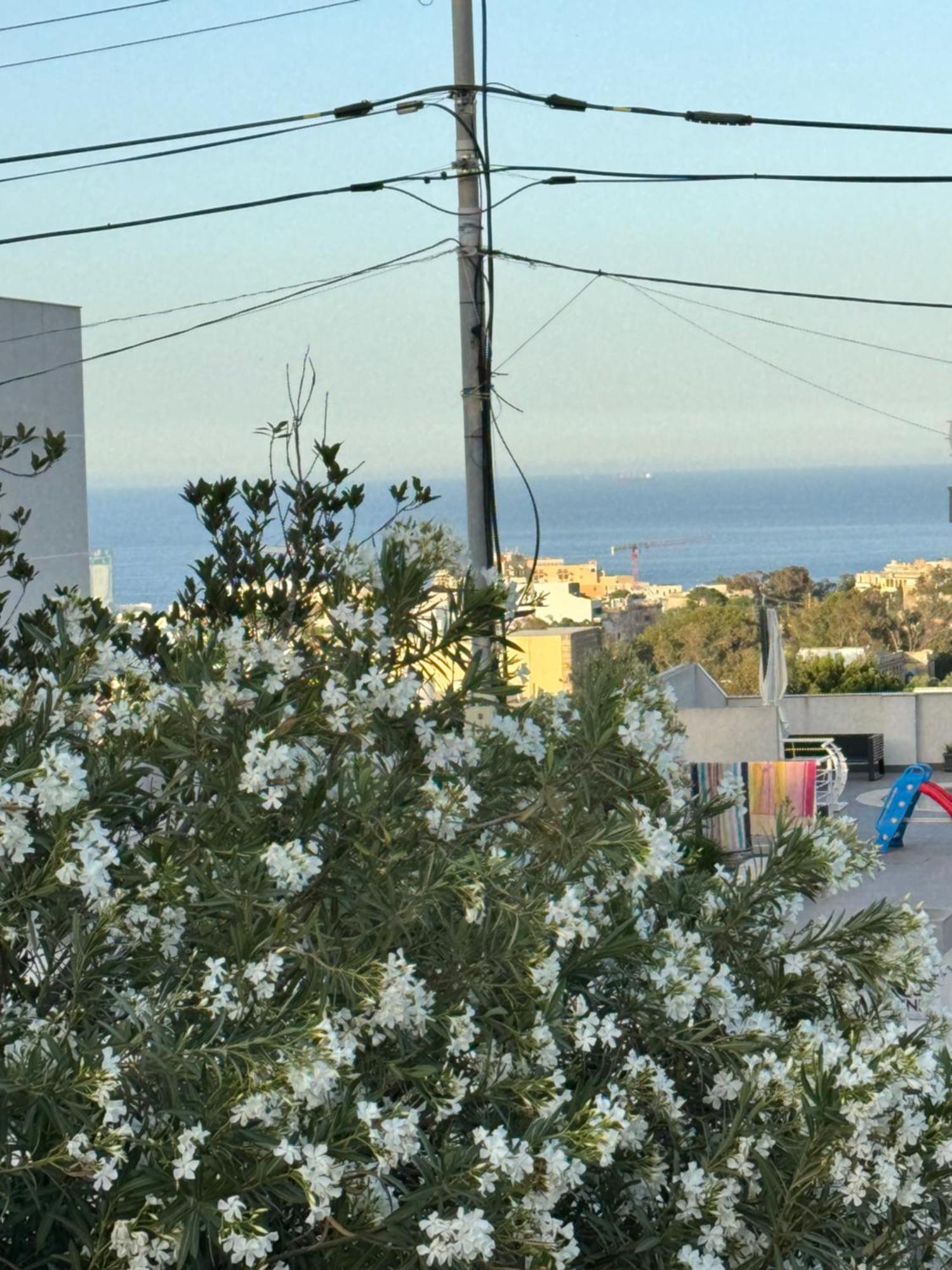 Villa Xiwan Is-Swieqi Bagian luar foto