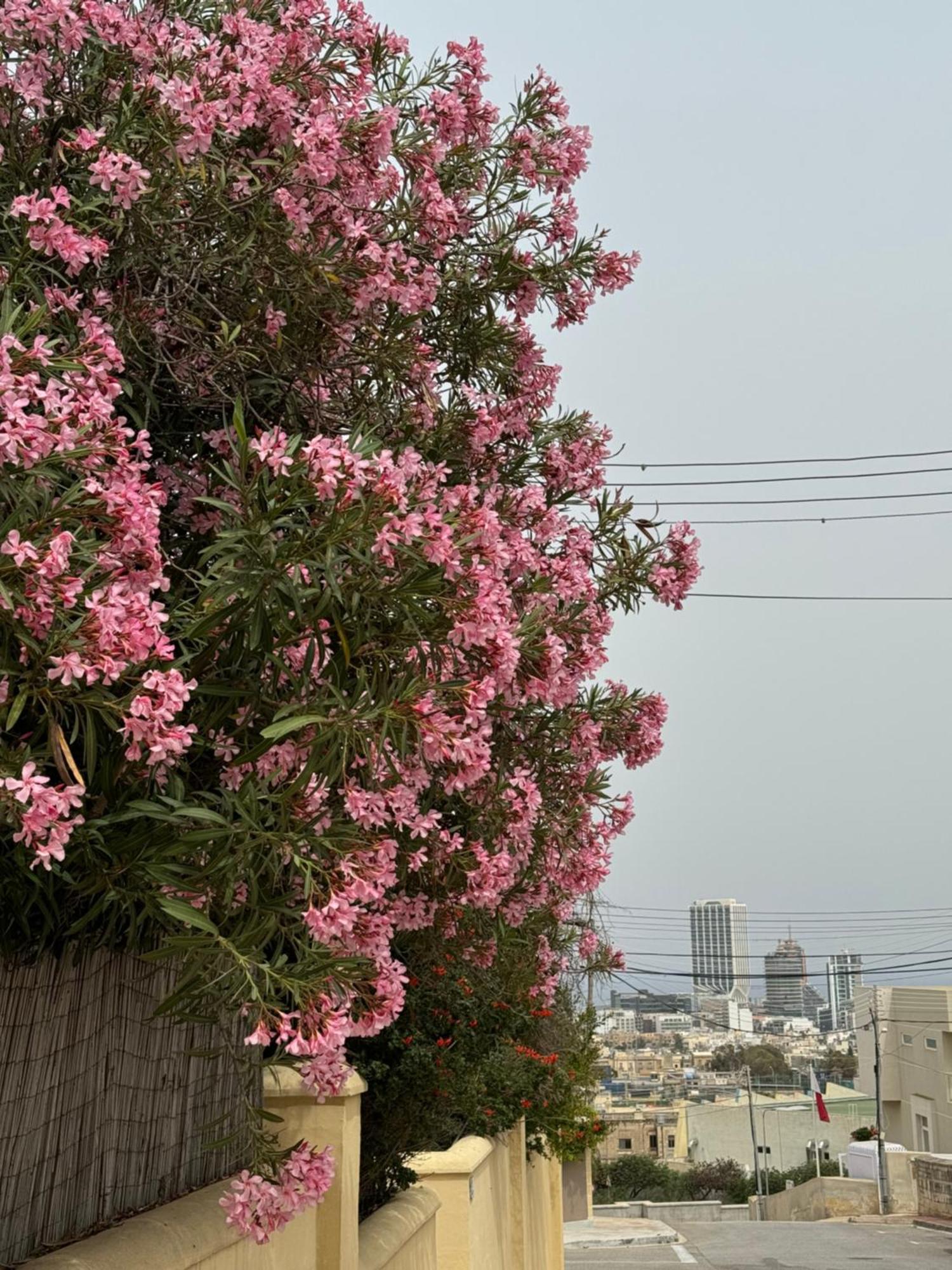 Villa Xiwan Is-Swieqi Bagian luar foto